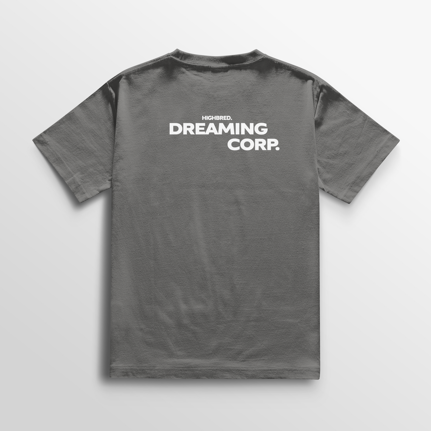 Camiseta Dreaming Corp -Gris