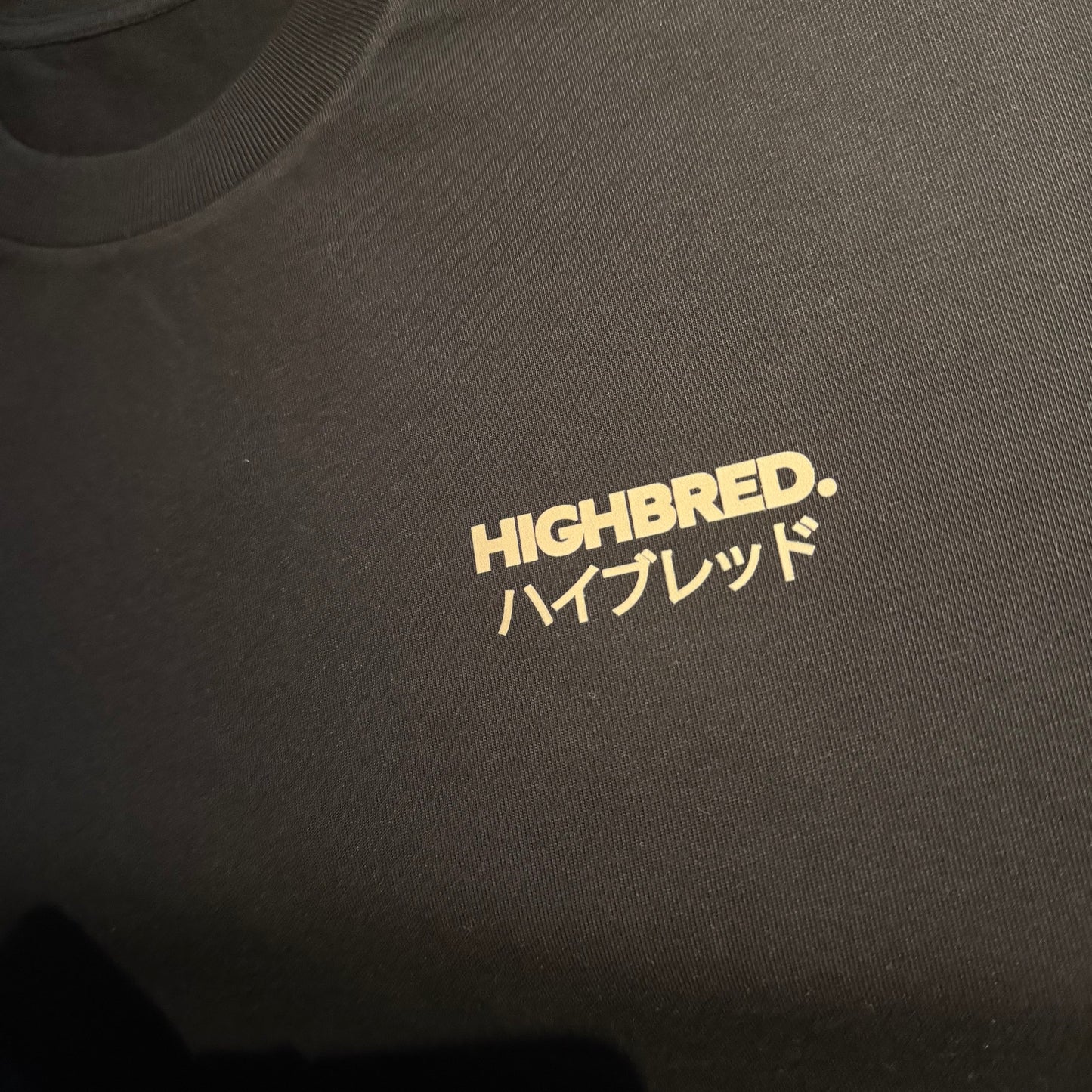 Camiseta Japanese - Negro/Beige