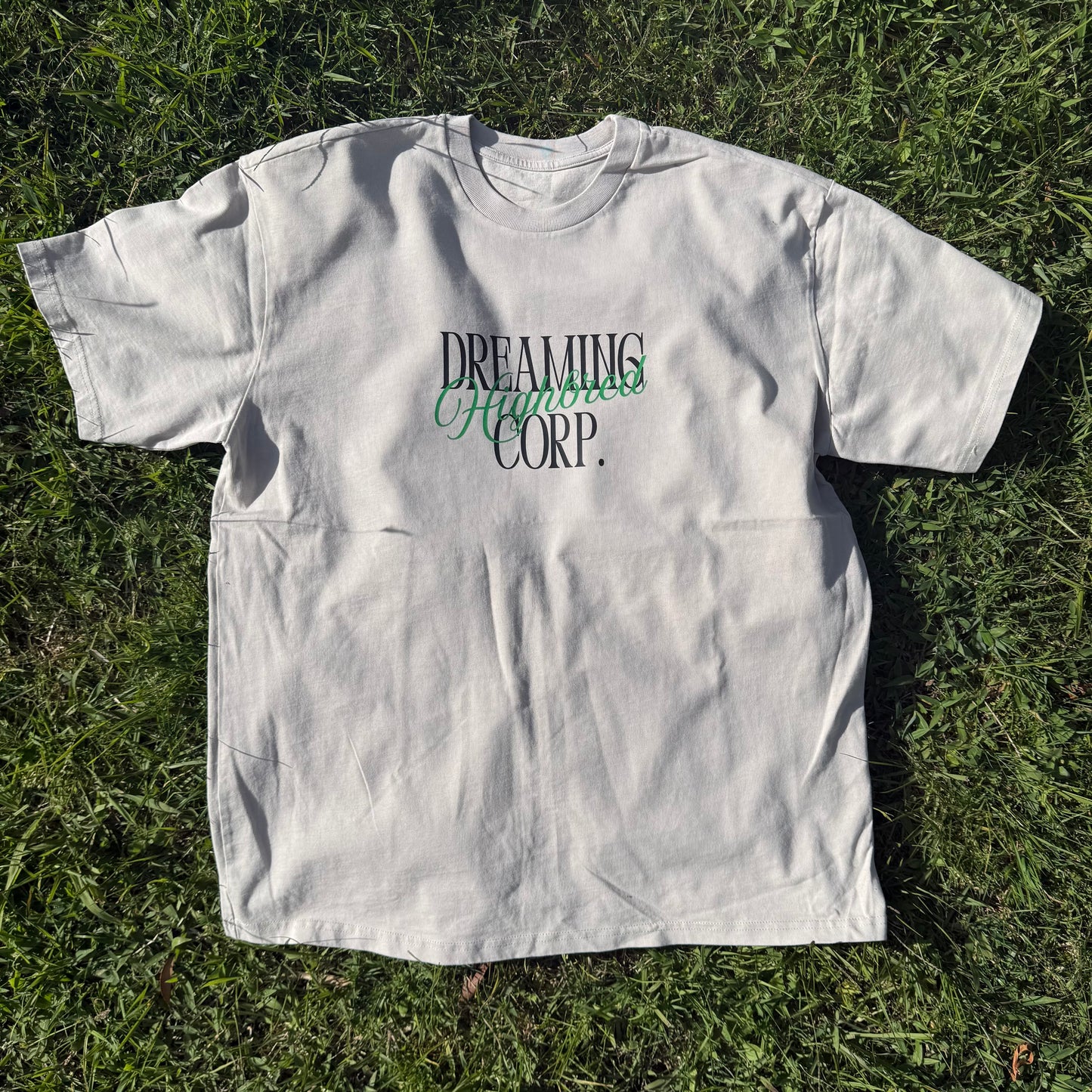 Camiseta Signature - Beige