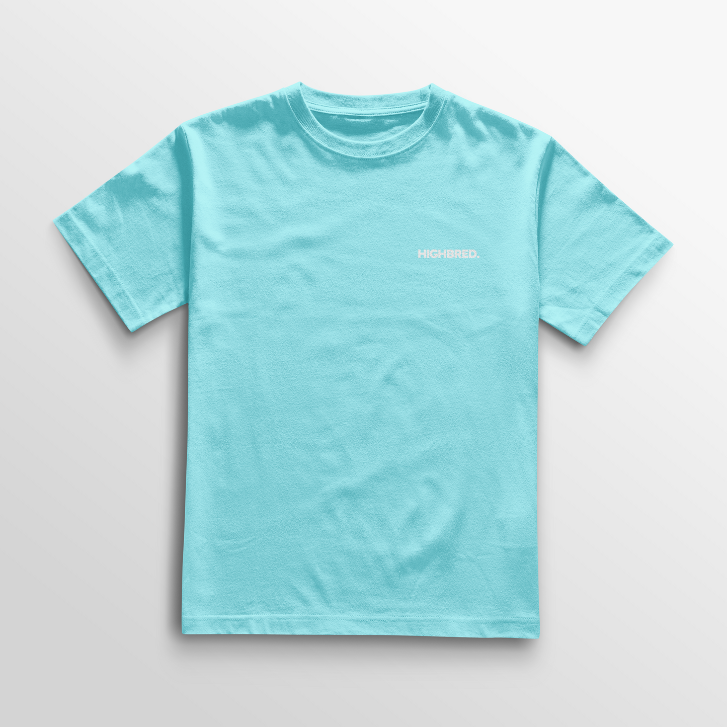 Camiseta básica 007 - Azul claro