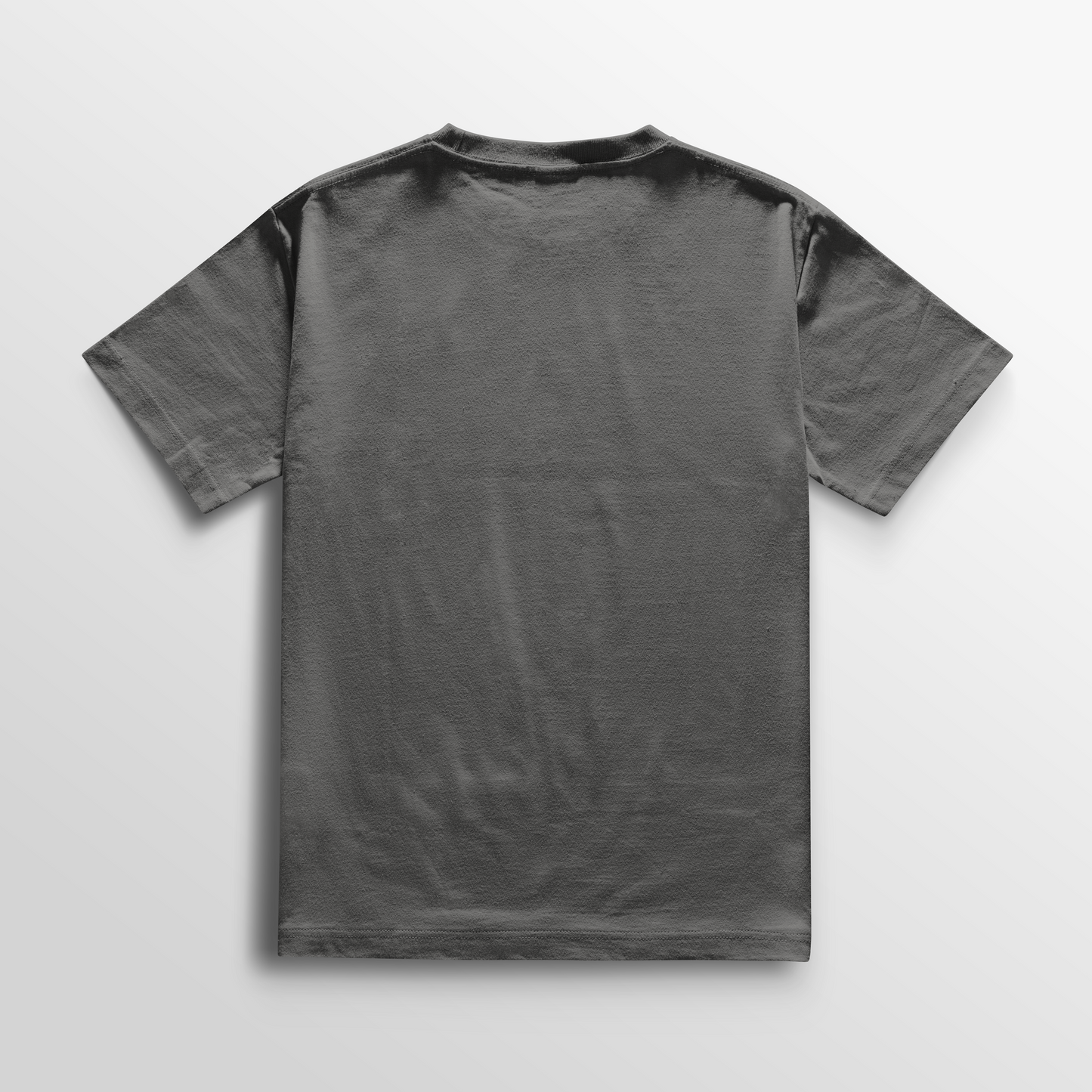 Camiseta Signature - Gris
